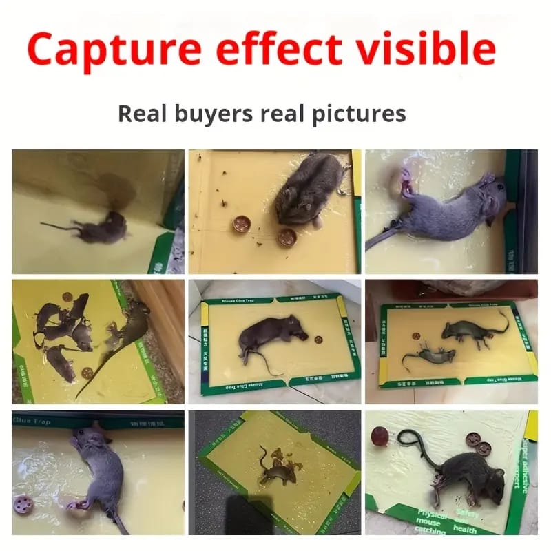 Extra-Strength Sticky Mouse Traps
