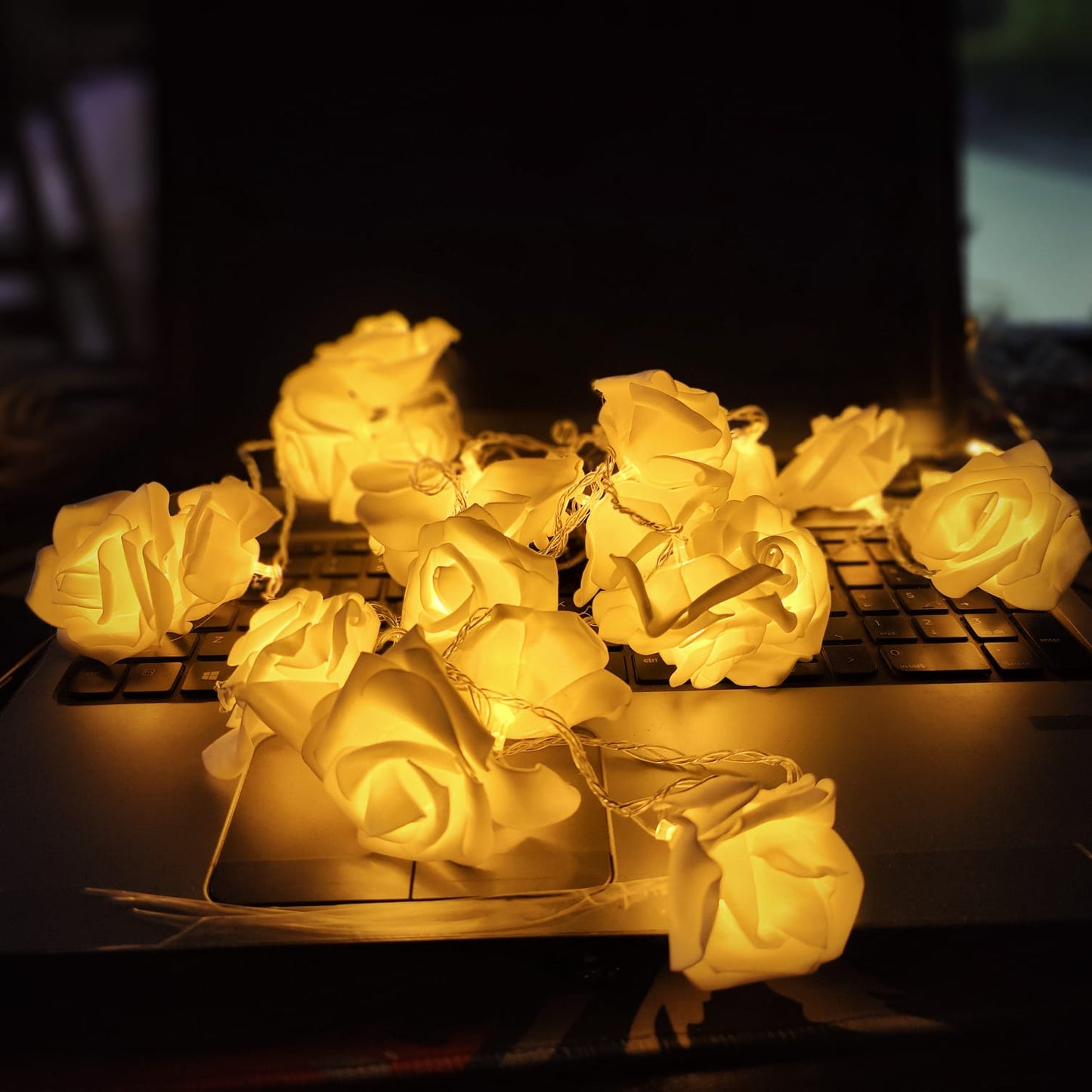 led Rose Light