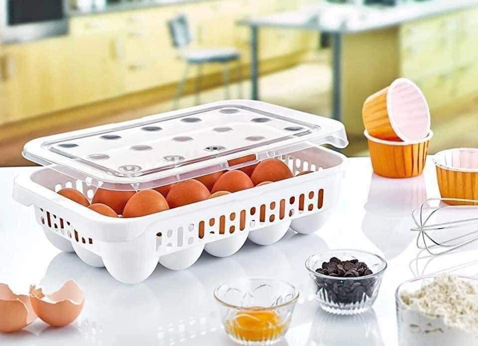 15 Grid Egg Storage Box, Egg Storage Container