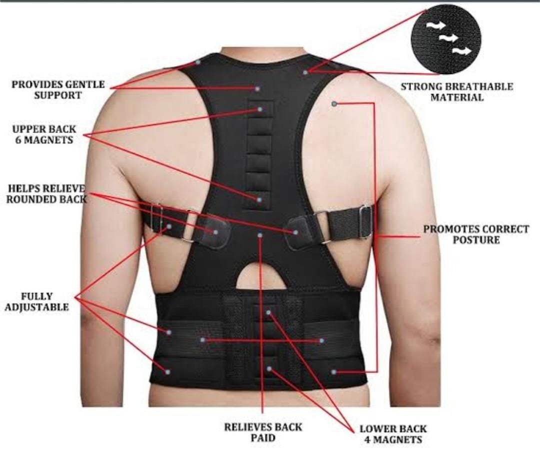 POSTURE BELT