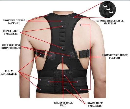 POSTURE BELT