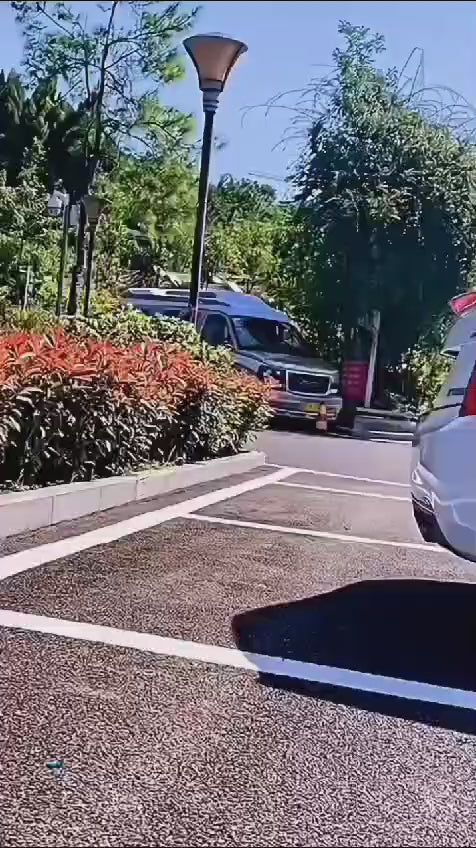 BLIND SPOT MIRROR