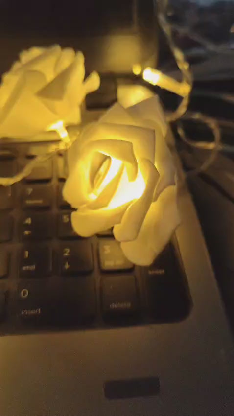 led Rose Light